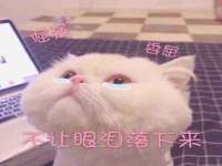 深圳市春惠通贸易有限公司