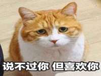 深圳市春惠通贸易有限公司