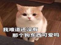 深圳市春惠通贸易有限公司