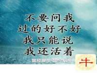 深圳市春惠通贸易有限公司