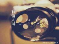 深圳市春惠通贸易有限公司
