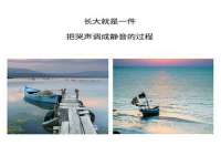 深圳市春惠通贸易有限公司