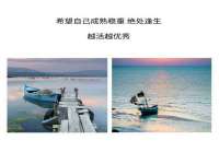 深圳市春惠通贸易有限公司