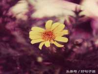 深圳市春惠通贸易有限公司