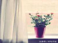 深圳市春惠通贸易有限公司
