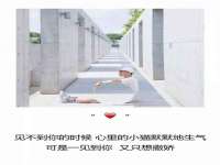 深圳市春惠通贸易有限公司