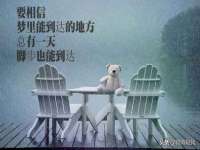 深圳市春惠通贸易有限公司