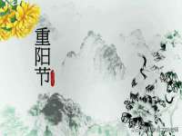 深圳市春惠通贸易有限公司