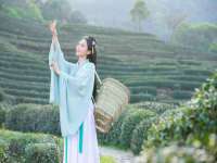 深圳市春惠通贸易有限公司