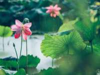 深圳市春惠通贸易有限公司