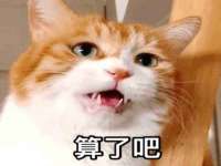 深圳市春惠通贸易有限公司
