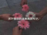 深圳市春惠通贸易有限公司