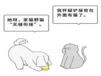 深圳市春惠通贸易有限公司