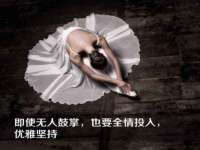 深圳市春惠通贸易有限公司