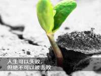 深圳市春惠通贸易有限公司