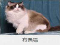 深圳市春惠通贸易有限公司