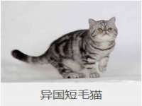 深圳市春惠通贸易有限公司