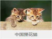 深圳市春惠通贸易有限公司