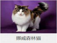 深圳市春惠通贸易有限公司