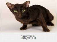 深圳市春惠通贸易有限公司