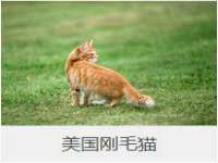 深圳市春惠通贸易有限公司