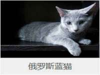 深圳市春惠通贸易有限公司
