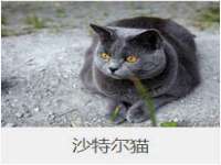 深圳市春惠通贸易有限公司