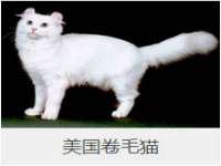 深圳市春惠通贸易有限公司
