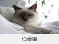 深圳市春惠通贸易有限公司