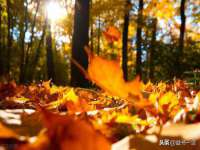 深圳市春惠通贸易有限公司