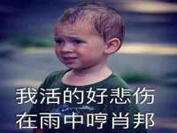 深圳市春惠通贸易有限公司