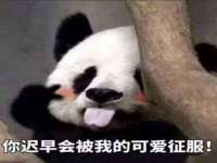 深圳市春惠通贸易有限公司