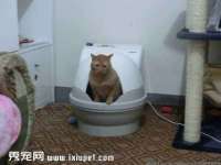 深圳市春惠通贸易有限公司