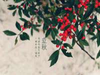 深圳市春惠通贸易有限公司