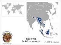 深圳市春惠通贸易有限公司