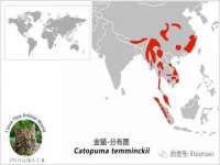 深圳市春惠通贸易有限公司