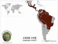 深圳市春惠通贸易有限公司
