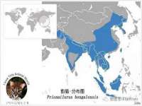 深圳市春惠通贸易有限公司