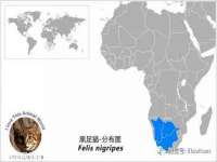 深圳市春惠通贸易有限公司