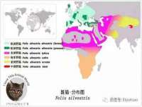 深圳市春惠通贸易有限公司