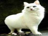 深圳市春惠通贸易有限公司
