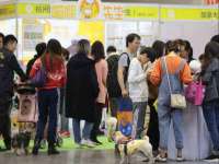 深圳市春惠通贸易有限公司
