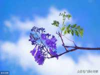 深圳市春惠通贸易有限公司