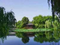深圳市春惠通贸易有限公司