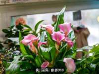 深圳市春惠通贸易有限公司