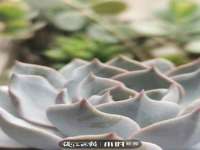 深圳市春惠通贸易有限公司
