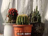 深圳市春惠通贸易有限公司