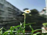 深圳市春惠通贸易有限公司