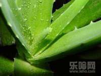 深圳市春惠通贸易有限公司