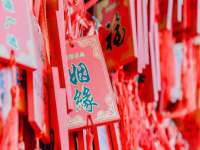 深圳市春惠通贸易有限公司